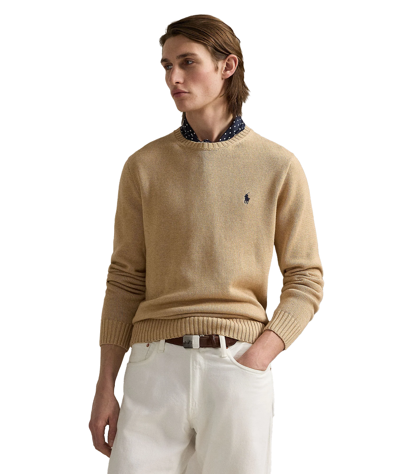 Cotton Crewneck Sweater - Beige - Image 2