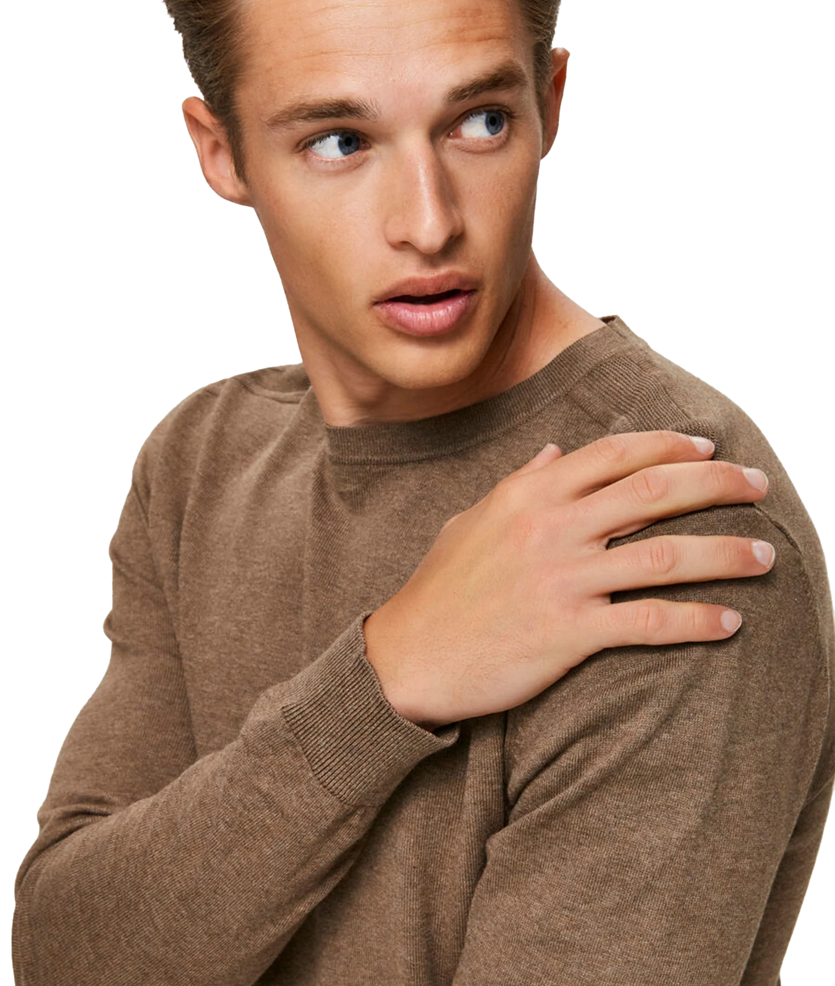 Berg Crew Neck - Brown - Image 6